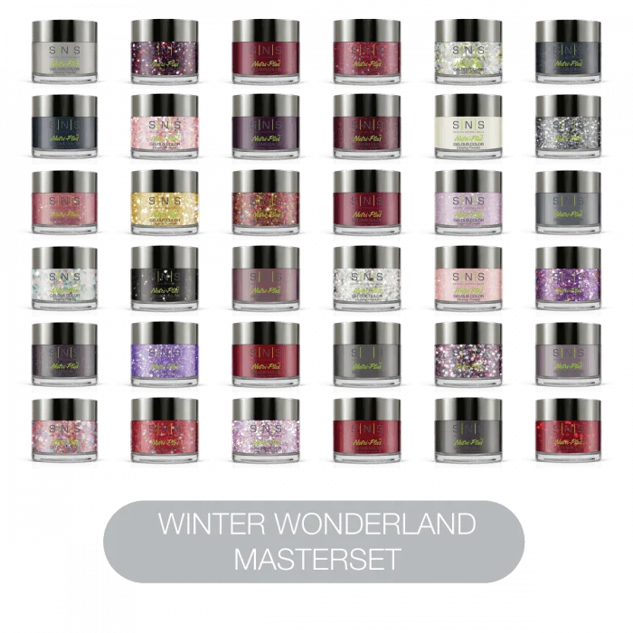 nail polish small box-SNS Dip Powder Winter Wonderland Master Set